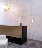 Olympus Gloss Wall Panel 24x48 | Gramercy Kitchen and Bath