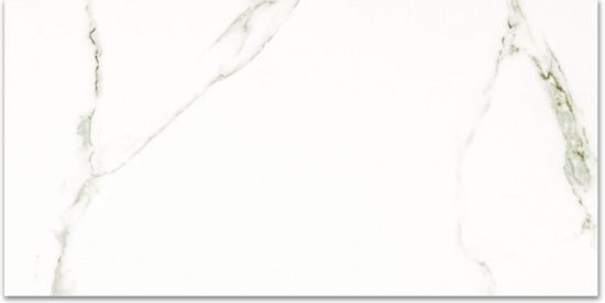 Polished Adoration 16X32 | Gramercy Kitchen and Bath