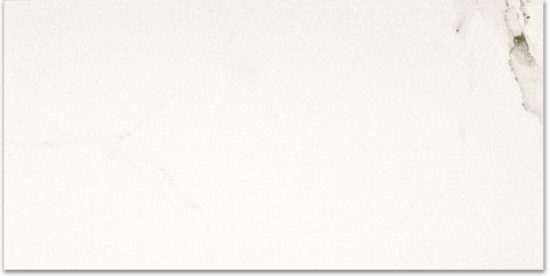 Polished Adoration 16X32 | Gramercy Kitchen and Bath