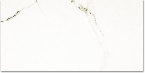 Polished Adoration 24X48 | Gramercy Kitchen and Bath