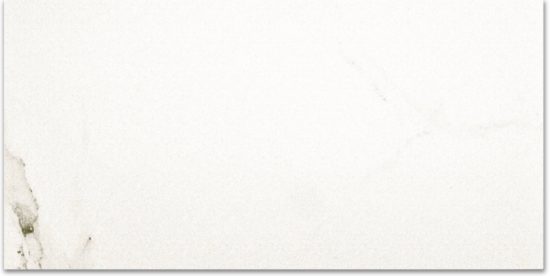 Polished Adoration 24X48 | Gramercy Kitchen and Bath