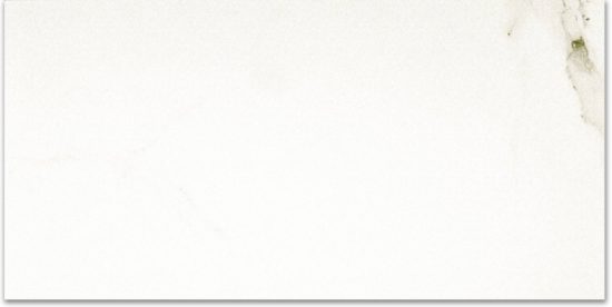 Polished Adoration 24X48 | Gramercy Kitchen and Bath