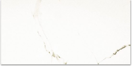 Polished Adoration 24X48 | Gramercy Kitchen and Bath