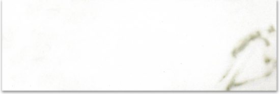 Polished Adoration 4X12 | Gramercy Kitchen and Bath