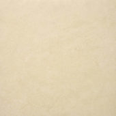 Polished Affection 24X24 | Gramercy Kitchen and Bath