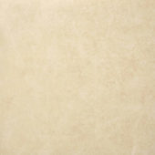 Polished Affection 24X24 | Gramercy Kitchen and Bath