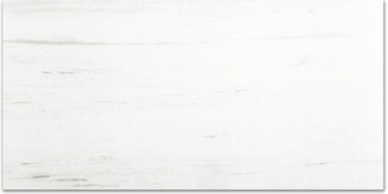 Polished Devotion 12X24 | Gramercy Kitchen and Bath