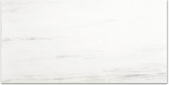 Polished Devotion 12X24 | Gramercy Kitchen and Bath