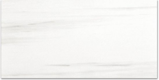 Polished Devotion 12X24 | Gramercy Kitchen and Bath