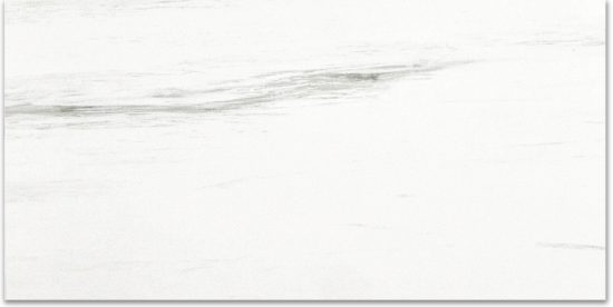 Polished Devotion 12X24 | Gramercy Kitchen and Bath