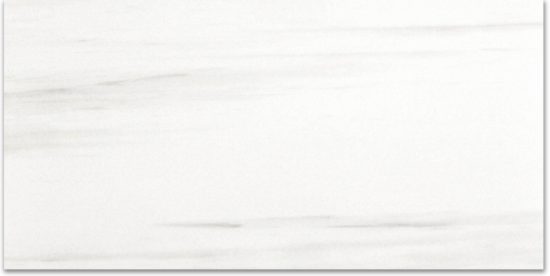 Polished Devotion 24X48 | Gramercy Kitchen and Bath