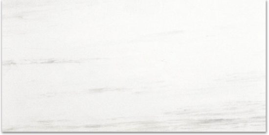 Polished Devotion 24X48 | Gramercy Kitchen and Bath