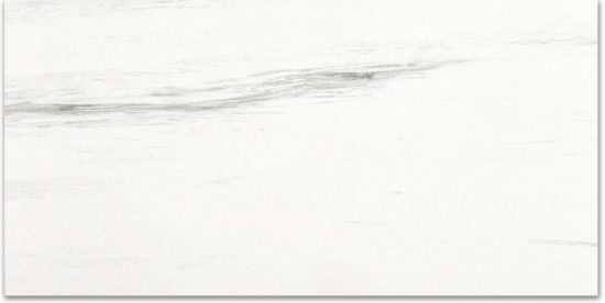 Polished Devotion 24X48 | Gramercy Kitchen and Bath