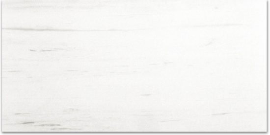 Polished Devotion 24X48 | Gramercy Kitchen and Bath