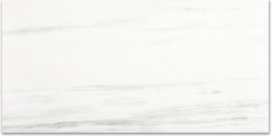 Polished Devotion 24X48 | Gramercy Kitchen and Bath