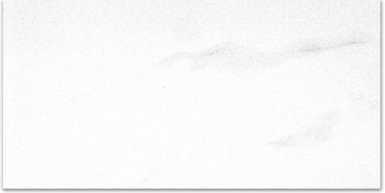 Polished Infatuation 12X24 | Gramercy Kitchen and Bath