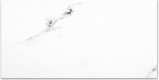 Polished Infatuation 16X32 | Gramercy Kitchen and Bath