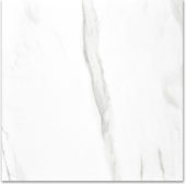 Polished Infatuation 24X24 | Gramercy Kitchen and Bath