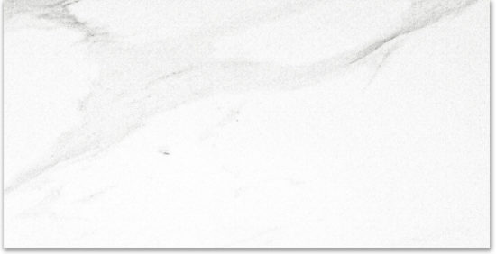 Polished Infatuation 24X48 | Gramercy Kitchen and Bath