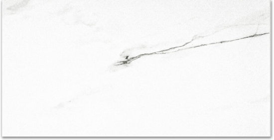 Polished Infatuation 24X48 | Gramercy Kitchen and Bath