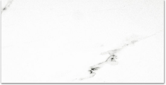 Polished Infatuation 24X48 | Gramercy Kitchen and Bath