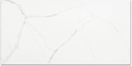 Polished Love 12X24 | Gramercy Kitchen and Bath