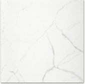 Polished Love 24X24 | Gramercy Kitchen and Bath