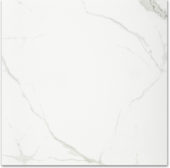 Polished Love 24X24 | Gramercy Kitchen and Bath