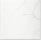 Polished Love 24X24 | Gramercy Kitchen and Bath