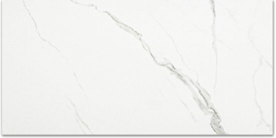 Polished Love 24X48 | Gramercy Kitchen and Bath