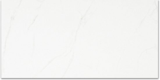 Polished Love 24X48 | Gramercy Kitchen and Bath