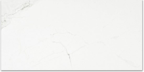 Polished Love 24X48 | Gramercy Kitchen and Bath