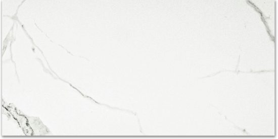 Polished Love 24X48 | Gramercy Kitchen and Bath