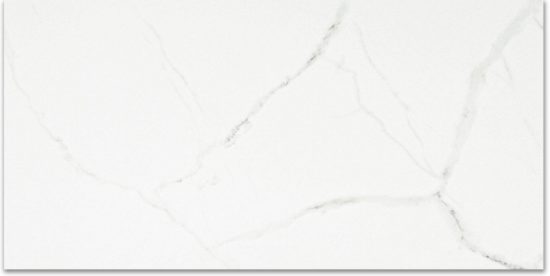 Polished Love 24X48 | Gramercy Kitchen and Bath