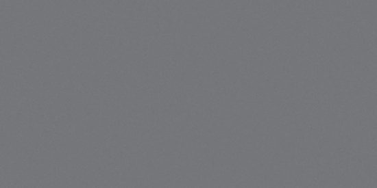 Polished Tokyo 12X24