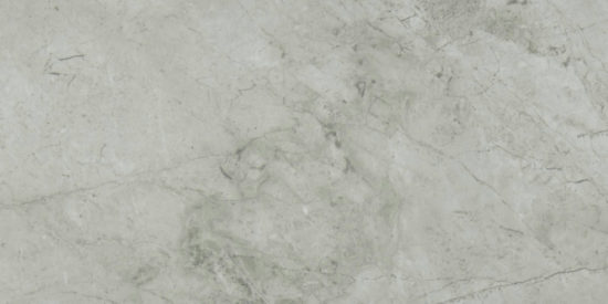 Roma Argento Honed 24X48 | Gramercy Kitchen and Bath