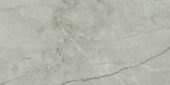 Roma Argento Polished 24X48 | Gramercy Kitchen and Bath