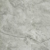 Roma Argento Polished 32X32 | Gramercy Kitchen and Bath