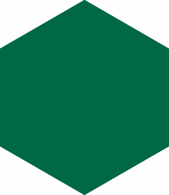 Ronda 5.5X6.3” Green Hexagon | Gramercy Kitchen and Bath