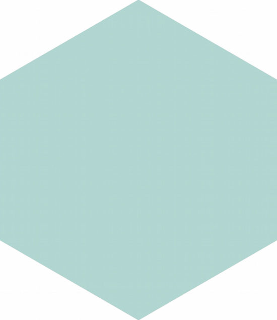 Ronda 5.5X6.3” Mint Hexagon | Gramercy Kitchen and Bath