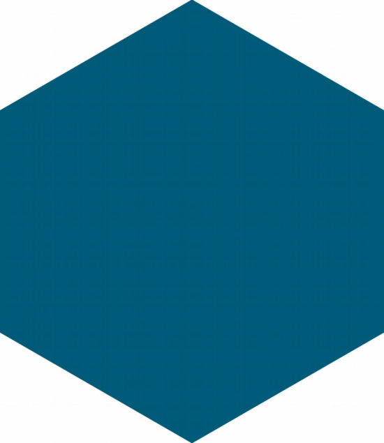 Ronda 5.5X6.3” Navy Blue Hexagon | Gramercy Kitchen and Bath