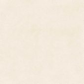 Serene Ivory 24x24 | Gramercy Kitchen and Bath