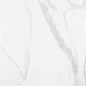 Statuario Venezia Honed 24X24 | Gramercy Kitchen and Bath