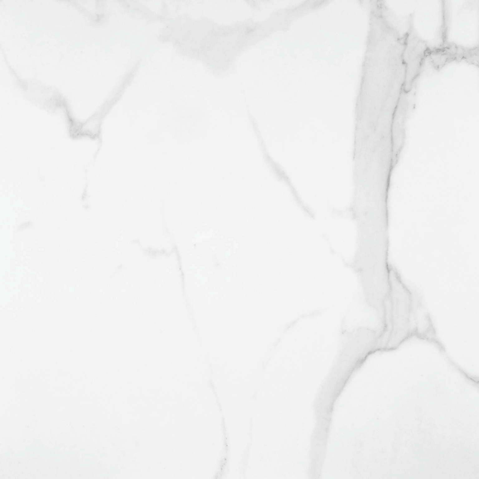 Statuario Venezia Honed 24X24 | Gramercy Kitchen and Bath