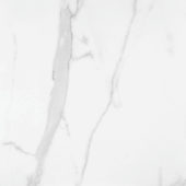 Statuario Venezia Honed 24X24 | Gramercy Kitchen and Bath