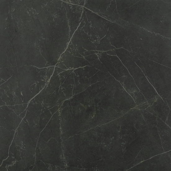 Tivoli Nero Honed 24X24 | Gramercy Kitchen and Bath