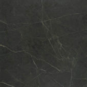 Tivoli Nero Honed 32X32 | Gramercy Kitchen and Bath