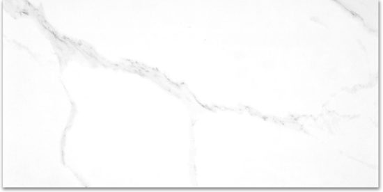 Treasure 12x24 Statuario Polished | Gramercy Kitchen and Bath