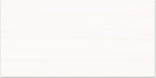 Treasure Ultimate Dolomite 12x24 Polished | Gramercy Kitchen and Bath