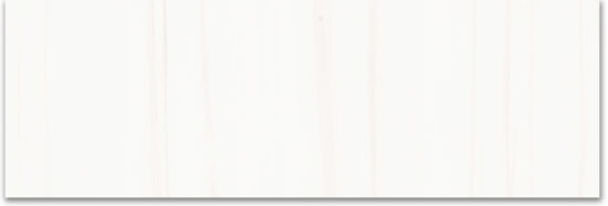 Treasure Ultimate Dolomite 4x12 Polished | Gramercy Kitchen and Bath